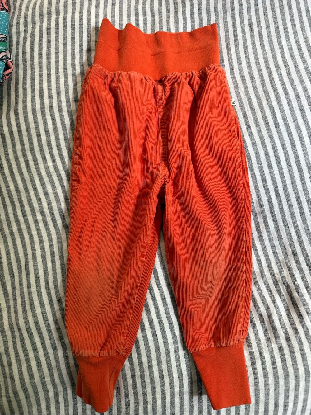 Frugi Corduroy Jogger Pants in Bright Orange